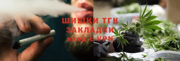 МДПВ Заводоуковск