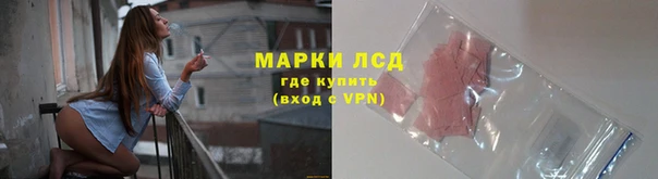СК Зерноград