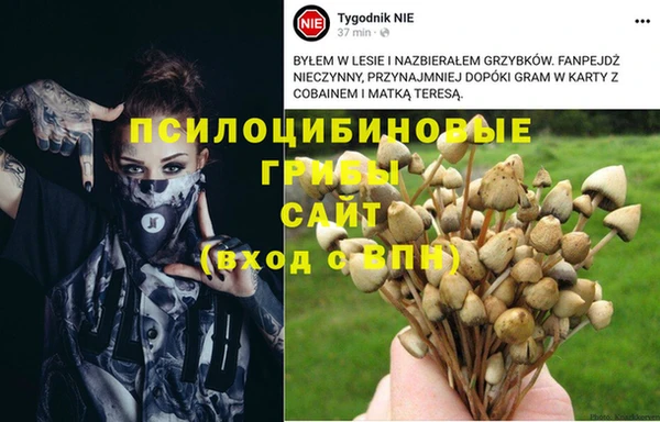 экстази Зеленокумск