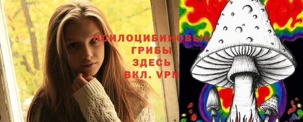 МДПВ Заводоуковск