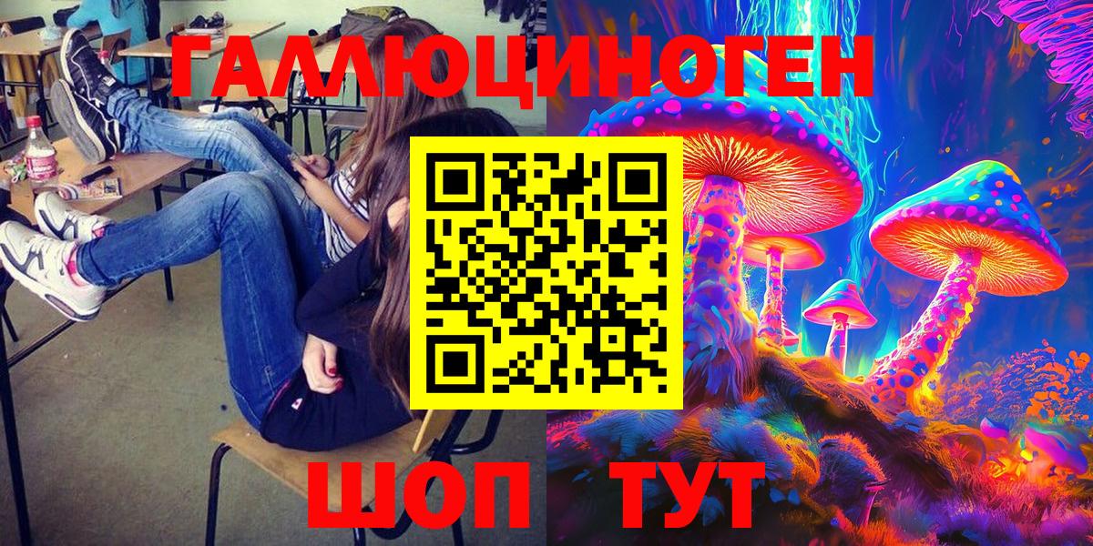 Псилоцибиновые грибы Cubensis  Вход с VPN  Кандалакша 